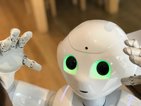 Robot in Hoorn: waarom je ze ineens ziet in zorg, school en bedrijf