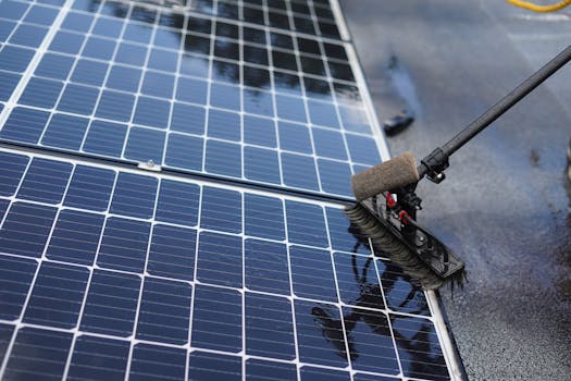 Zonnepanelen schoonmaken in Hoorn? Dan is timing belangrijker dan je denkt