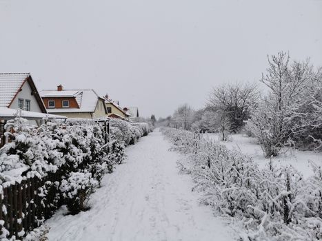 Sneeuw in Hoorn: dit kun je verwachten op straat en onderweg